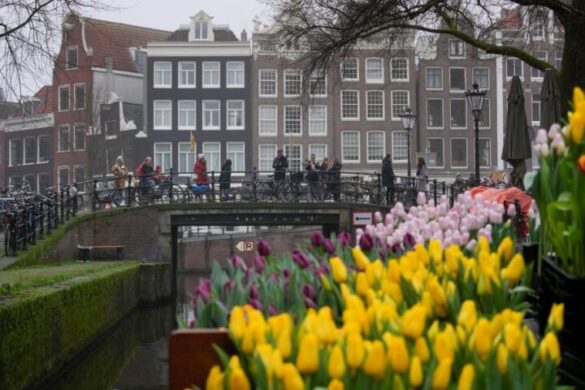 Amsterdam 3 768x480