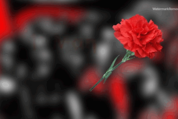 45d72fdcf6bdaf4be7194ad42abce438 no watermark